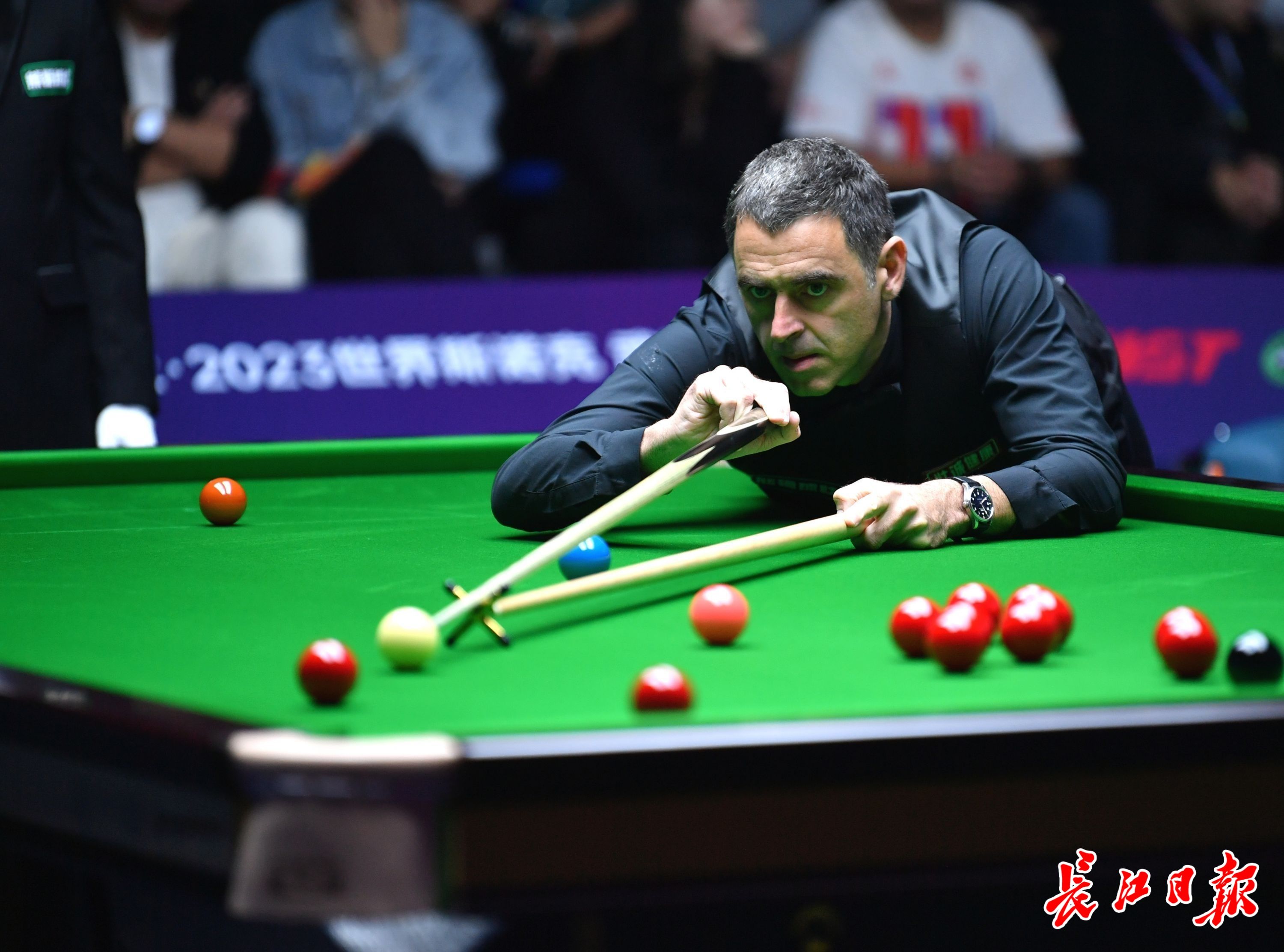 够的蛋白质 够的蛋白质